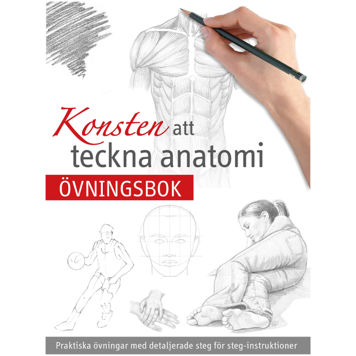 Kunsten at tegne Anatomi i gruppen Hobby & Kreativitet / Bøger / Malebøger til voksne hos Pen Store (131380)