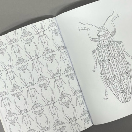Wonderful Insects i gruppen Hobby & Kreativitet / Bøger / Malebøger til voksne hos Pen Store (125501)