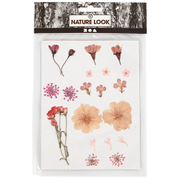 Tørrede blomster og blade Lys rosa i gruppen Hobby & Kreativitet / Skabe / Scrapbooking hos Pen Store (130763)